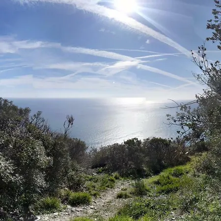 Cristina Imperia